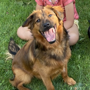 Fundraising Page: Ruthie Duffy - PAC Alum